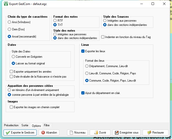 export Généatique options.jpg