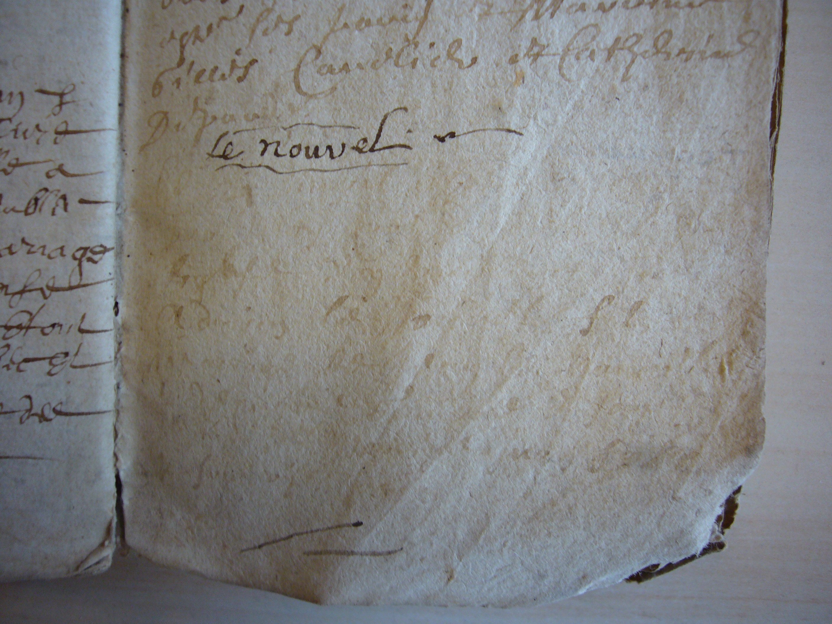 P1360029.JPG