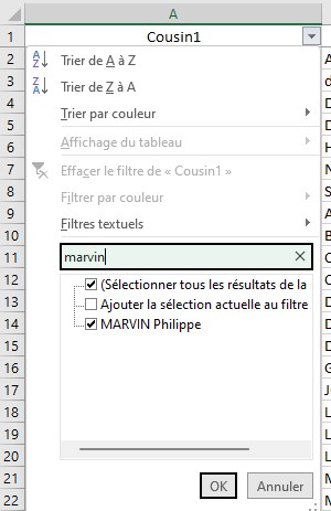 filtre Excel.jpg