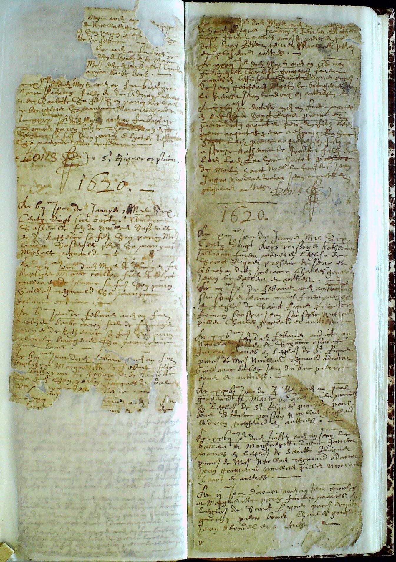 N_Caron-Barbe_1620.jpg