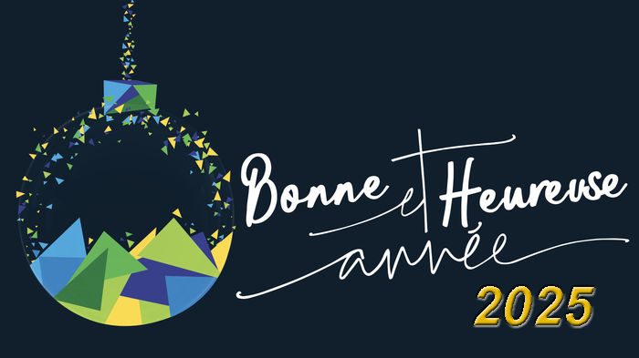 bonne année 2025.jpg